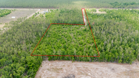 5 Acres on Paved Road – No Flood Zone, Mobiles Allowed! - image 4