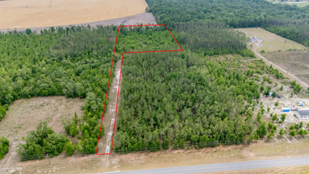 5 Acres on Paved Road – No Flood Zone, Mobiles Allowed! - image 1