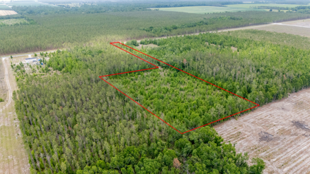 5 Acres on Paved Road – No Flood Zone, Mobiles Allowed! - image 8
