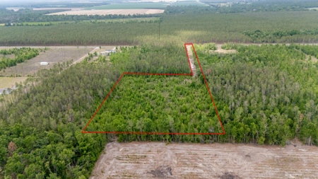 5 Acres on Paved Road – No Flood Zone, Mobiles Allowed! - image 5