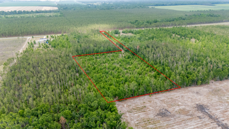5 Acres on Paved Road – No Flood Zone, Mobiles Allowed! - image 12