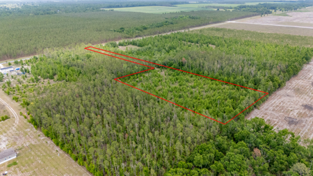 5 Acres on Paved Road – No Flood Zone, Mobiles Allowed! - image 11