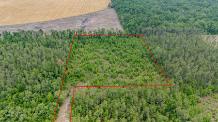 5 Acres on Paved Road – No Flood Zone, Mobiles Allowed! - image 2