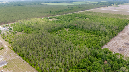 5 Acres on Paved Road – No Flood Zone, Mobiles Allowed! - image 14