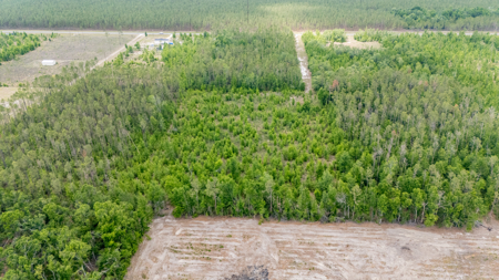 5 Acres on Paved Road – No Flood Zone, Mobiles Allowed! - image 6