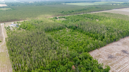5 Acres on Paved Road – No Flood Zone, Mobiles Allowed! - image 9