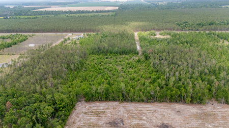 5 Acres on Paved Road – No Flood Zone, Mobiles Allowed! - image 10