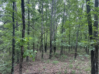 4.95+/- Wooded Acres For Sale – Country Setting Near McRae, AR - image 3