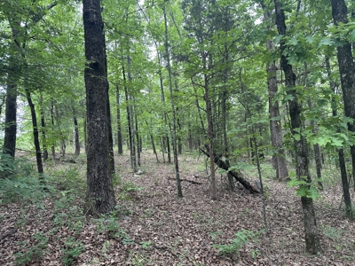4.95+/- Wooded Acres For Sale – Country Setting Near McRae, AR - image 4