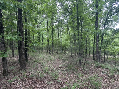 4.95+/- Wooded Acres For Sale – Country Setting Near McRae, AR - image 2