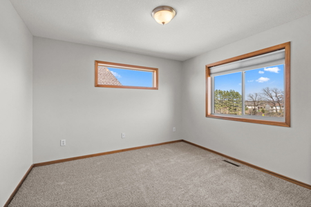 4 Bed/4 Bath home for Sale in Chisago City - image 27