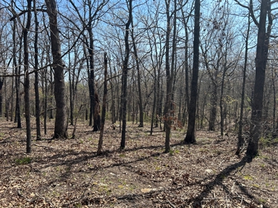 20 (m/l) densely wooded acres near Iconium in St Clair County - image 15