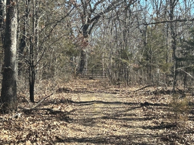 20 (m/l) densely wooded acres near Iconium in St Clair County - image 4