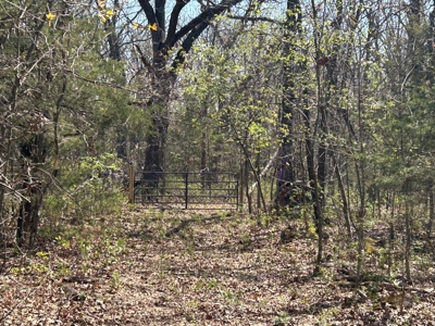 20 (m/l) densely wooded acres near Iconium in St Clair County - image 6
