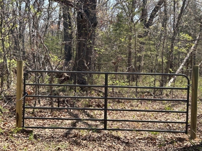 20 (m/l) densely wooded acres near Iconium in St Clair County - image 5