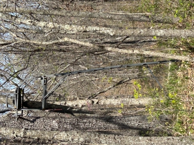 20 (m/l) densely wooded acres near Iconium in St Clair County - image 1