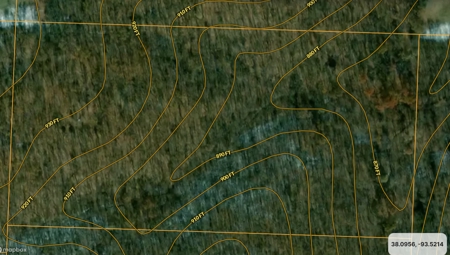 20 (m/l) densely wooded acres near Iconium in St Clair County - image 3
