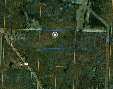 20 (m/l) densely wooded acres near Iconium in St Clair County - image 2