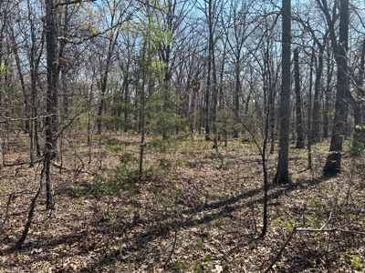 20 (m/l) densely wooded acres near Iconium in St Clair County - image 7
