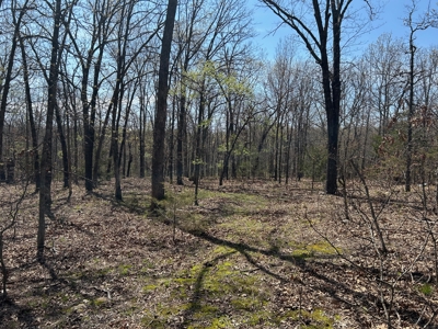20 (m/l) densely wooded acres near Iconium in St Clair County - image 11