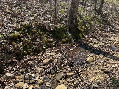 20 (m/l) densely wooded acres near Iconium in St Clair County - image 12