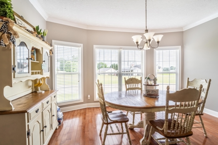 Country Home with Guest Cottage on 3.2 acres - image 14