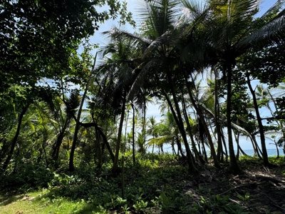 2HAS oceanfront land in Palenque, Colon - image 15
