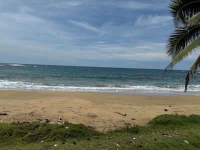 2HAS oceanfront land in Palenque, Colon - image 5
