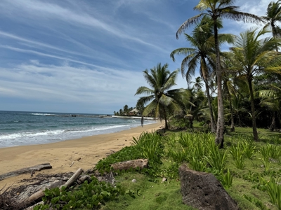 2HAS oceanfront land in Palenque, Colon - image 11
