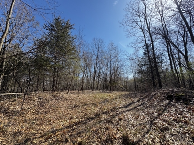 2 Properties Marquette County Online Only Auction - image 13