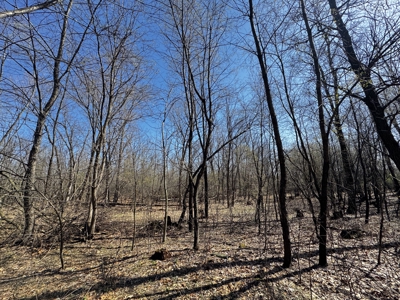 2 Properties Marquette County Online Only Auction - image 16