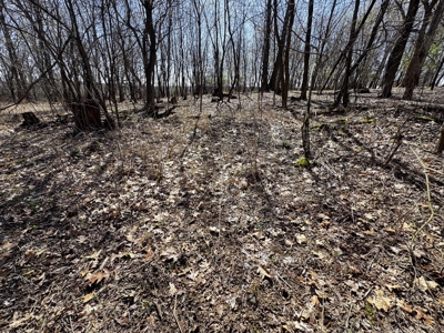 2 Properties Marquette County Online Only Auction - image 26