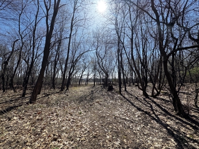 2 Properties Marquette County Online Only Auction - image 12