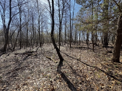 2 Properties Marquette County Online Only Auction - image 21