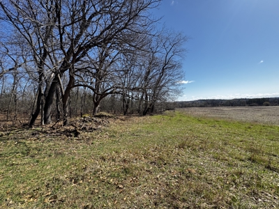 2 Properties Marquette County Online Only Auction - image 8