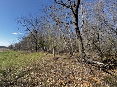 2 Properties Marquette County Online Only Auction - image 10