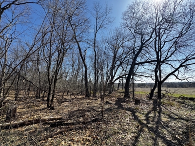 2 Properties Marquette County Online Only Auction - image 11