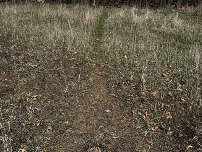 2 Properties Marquette County Online Only Auction - image 30