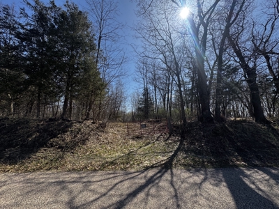 2 Properties Marquette County Online Only Auction - image 9