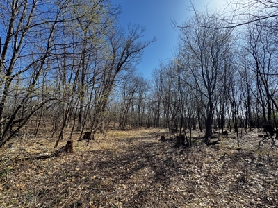 2 Properties Marquette County Online Only Auction - image 23