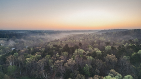 205 Acres of Wildlife, Woods & Water in Nunnelly, TN - image 12