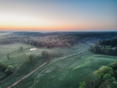 205 Acres of Wildlife, Woods & Water in Nunnelly, TN - image 5