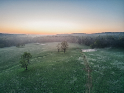 205 Acres of Wildlife, Woods & Water in Nunnelly, TN - image 4
