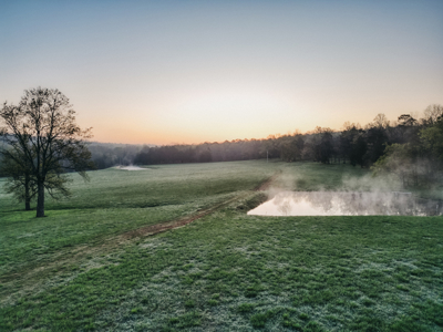 205 Acres of Wildlife, Woods & Water in Nunnelly, TN - image 11