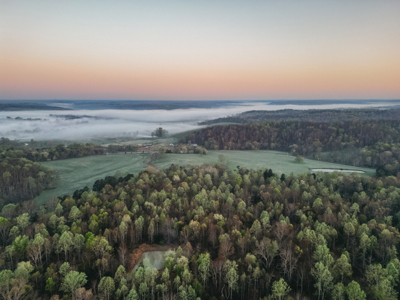 205 Acres of Wildlife, Woods & Water in Nunnelly, TN - image 18