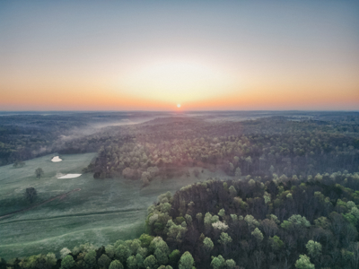 205 Acres of Wildlife, Woods & Water in Nunnelly, TN - image 20