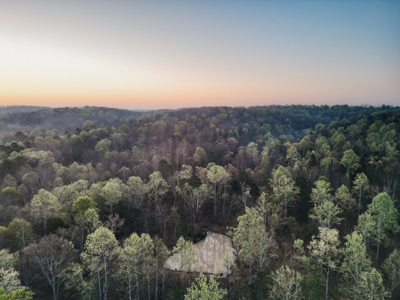 205 Acres of Wildlife, Woods & Water in Nunnelly, TN - image 13
