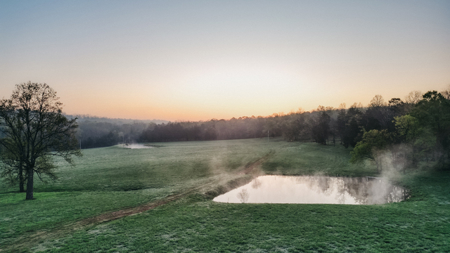 205 Acres of Wildlife, Woods & Water in Nunnelly, TN - image 8