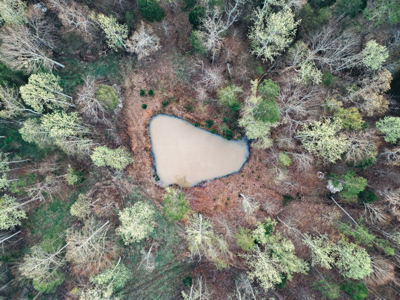 205 Acres of Wildlife, Woods & Water in Nunnelly, TN - image 17