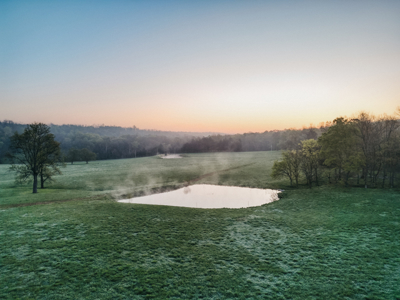 205 Acres of Wildlife, Woods & Water in Nunnelly, TN - image 10